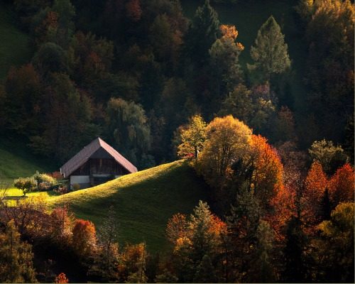 abogados inmobiliarios